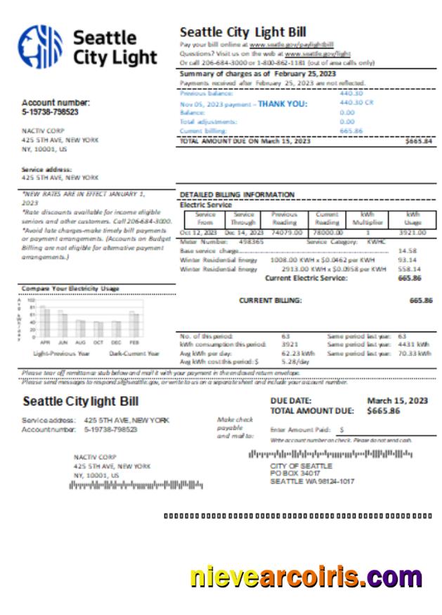 Washington Seattle City Light utility business bill